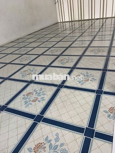 Cho thuê căn hộ mini 30m2, số 141 Trần Hưng Đạo, Q5
