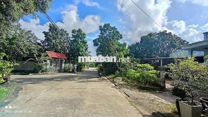 Bán đất tặng 2 căn nhà cấp 4  Ngang 13mx25m KDC An Phước Tam Thôn Hiệp