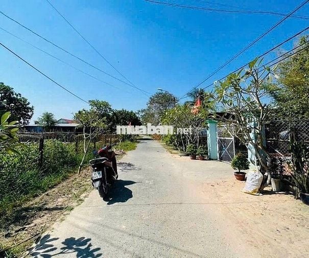 BÁN ĐẤT KHU DÂN CƯ XÃ PHƯỚC THẠNH CỦ CHI 167m2 GIÁ 430 TRIỆU - SHR