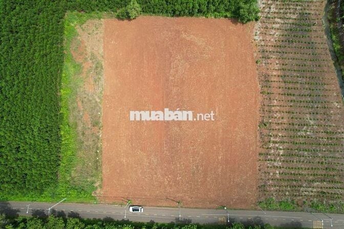 Hàng F0 anh chị em ơi giá rẻ tụt quần ạ. 200mv/60 thổ cư..