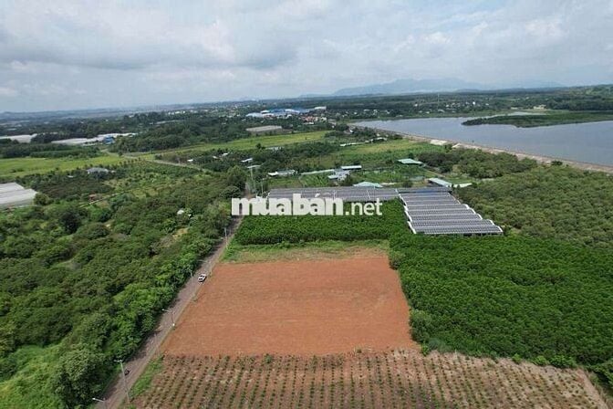 Hàng F0 anh chị em ơi giá rẻ tụt quần ạ. 200mv/60 thổ cư..