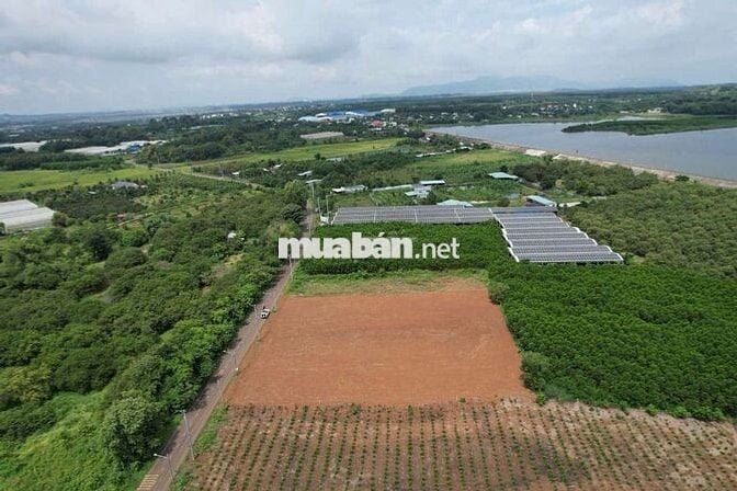 Hàng F0 anh chị em ơi giá rẻ tụt quần ạ. 200mv/60 thổ cư..
