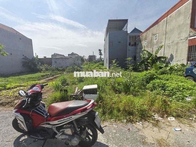 Siêu Phẩm 85m2 ngang 5m Tân Thành,Dương Kinh đường rộng 10m gần ngay t