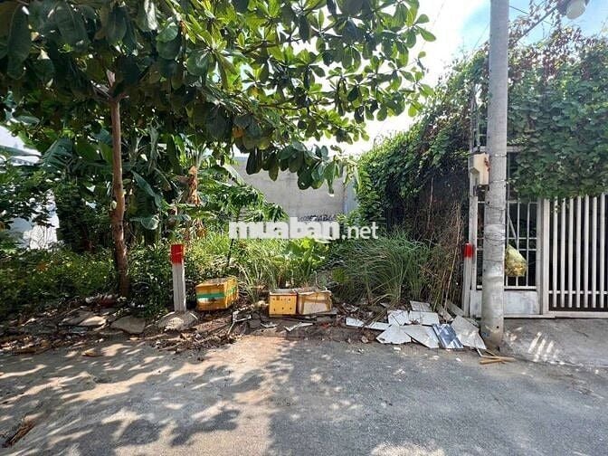 Đất Hướng Tây Bắc DT: 4m x 17m Thổ Cư SHR