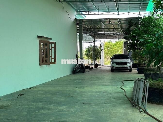 Bán đất ở tại Ninh Thượng, Ninh Hòa, Khánh Hòa, tặng kèm nhà yến