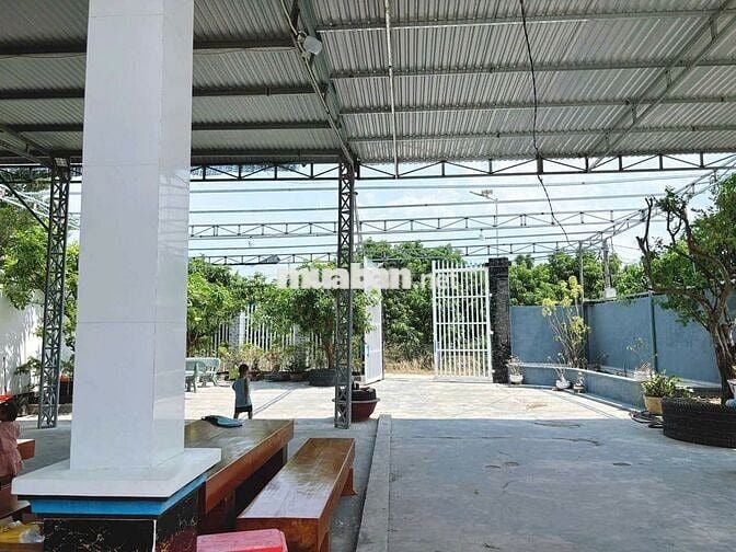 Bán đất ở tại Ninh Thượng, Ninh Hòa, Khánh Hòa, tặng kèm nhà yến