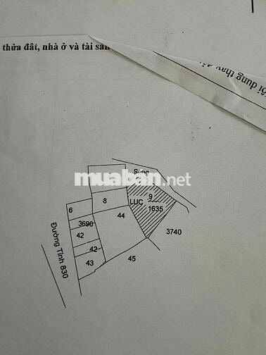 Kẹt tiền cần bán đất có nhà vườn đường 835C Cần Đước