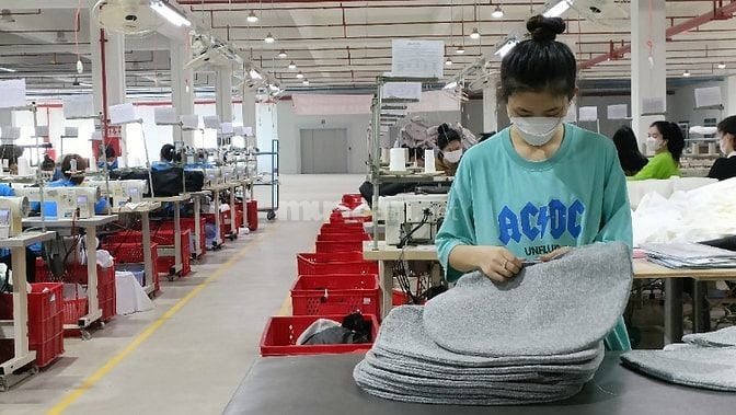 🔥 TUYỂN GẤP 1.000 LAO ĐỘNG LÀM CHÍNH THỨC🔥