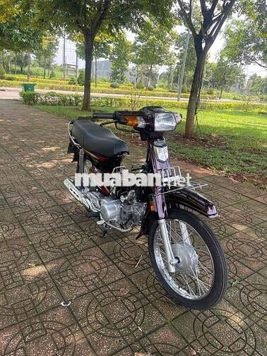 cần bán super deam siêu cọp