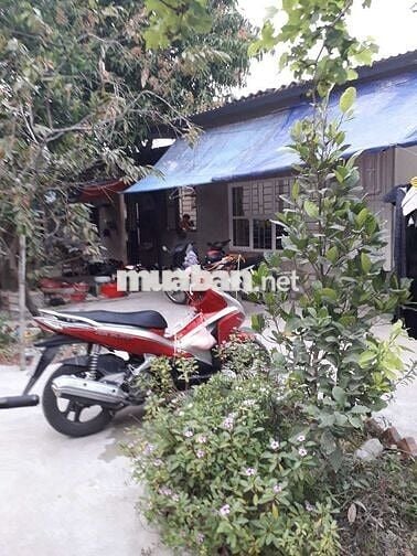 Nhà Cấp 4 tại ngõ 120 Phố Nhổn, Đường 32, Tây Tựu