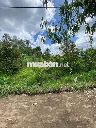 Nền Cách Cầu Rạch Sung - QL 61C 1km