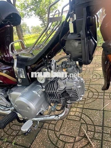 cần bán super deam siêu cọp