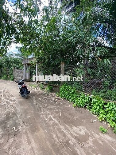 Nền Cách Cầu Rạch Sung - QL 61C 1km