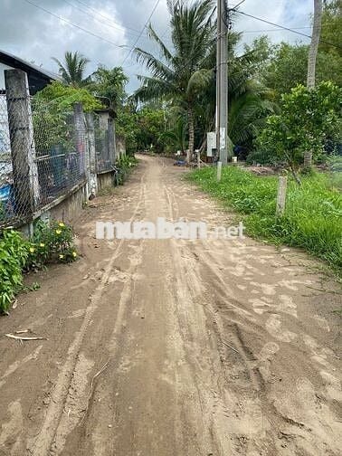 Nền Cách Cầu Rạch Sung - QL 61C 1km