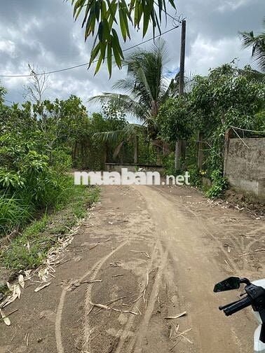 Nền Cách Cầu Rạch Sung - QL 61C 1km