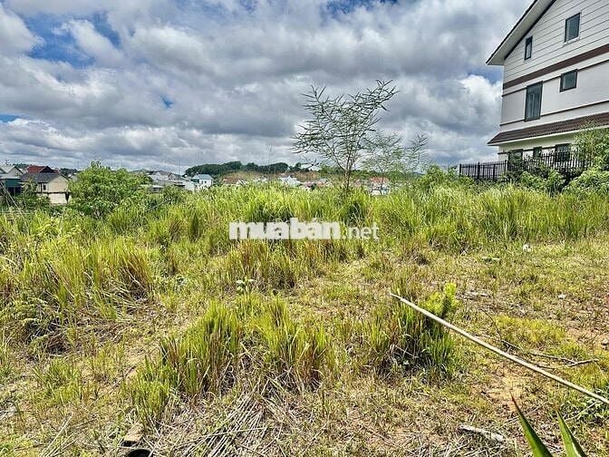 Cần bán nhanh lô đất giá tốt tại phường Langbiang - Đà Lạt