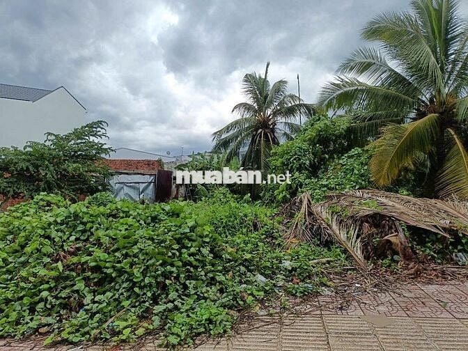 đất nền 800m2, mặt tiền Mậu Thân 2, Vĩnh Long