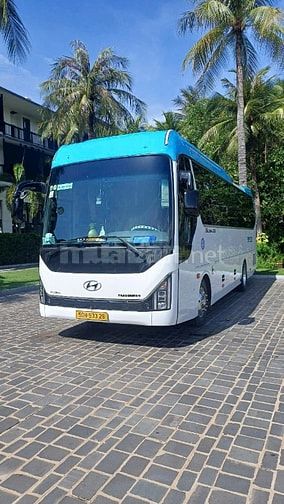 Cho thuê xe tự láy hoặc có tài