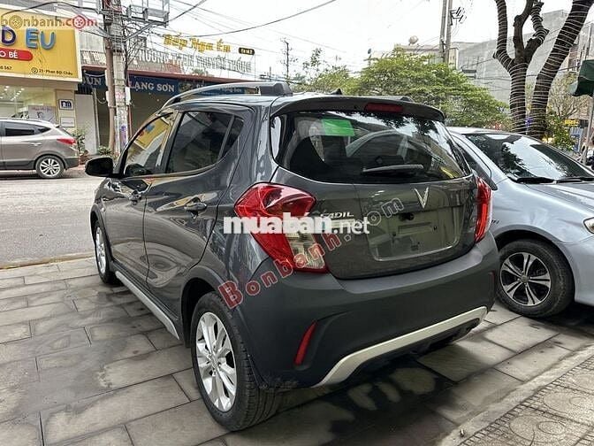 Vinfas Fadil sx 2022