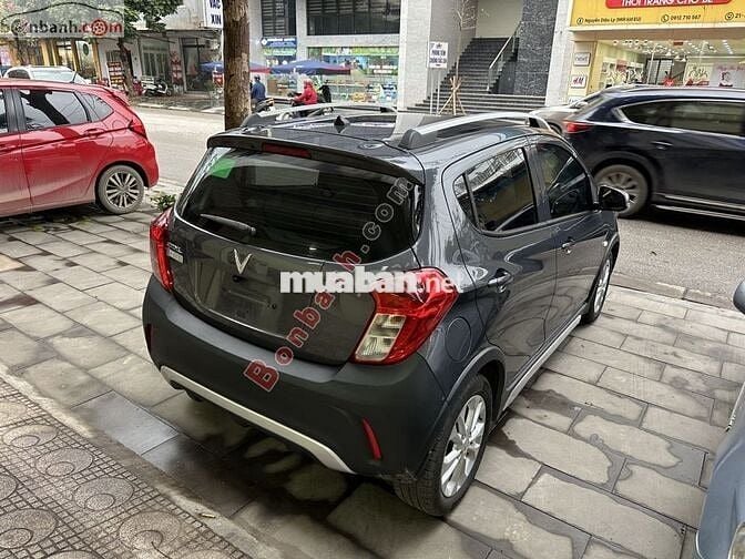 Vinfas Fadil sx 2022