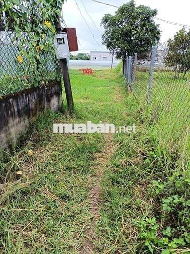 🇻🇳🇻🇳. Bán 1.038m² ĐẤT TRỒNG CÂY, QUI HOẠCH DÂN CƯ