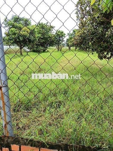 🇻🇳🇻🇳. Bán 1.038m² ĐẤT TRỒNG CÂY, QUI HOẠCH DÂN CƯ