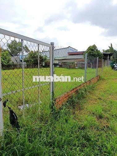 🇻🇳🇻🇳. Bán 1.038m² ĐẤT TRỒNG CÂY, QUI HOẠCH DÂN CƯ
