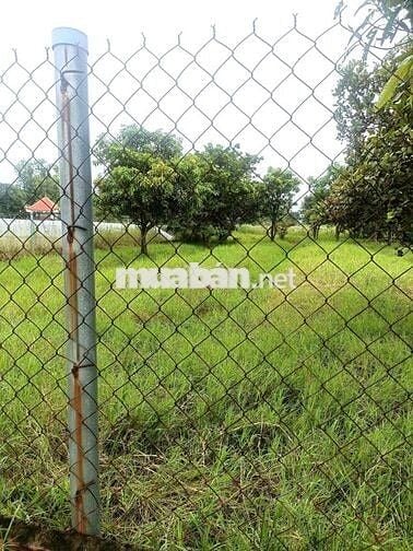 🇻🇳🇻🇳. Bán 1.038m² ĐẤT TRỒNG CÂY, QUI HOẠCH DÂN CƯ