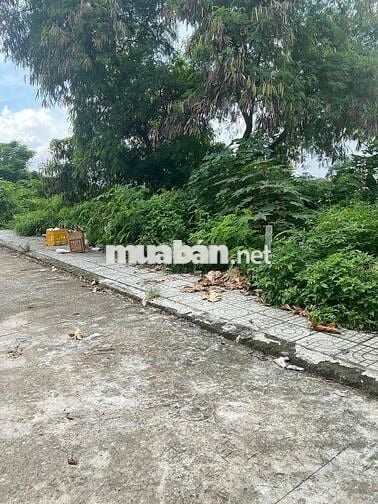 BÁN ĐẤT ĐÔNG HƯNG THUẬN, Q12 – HẺM XE HƠI 6M – DT 5x18m