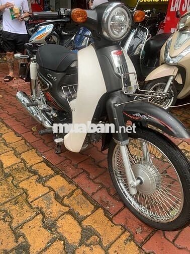 Cub 50 cho học sinh