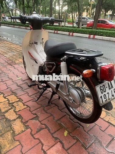 Cub 50 cho học sinh