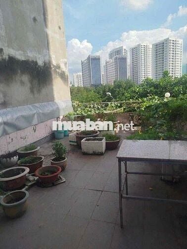 🏠Nguyên Căn Mặt Tiền Kinh Doanh Đông Đúc gần Chợ Tân Mỹ Q.7