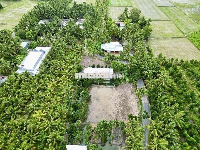 Đất Nền Thổ Cư 100% Lộ Nhựa Giá Rẻ