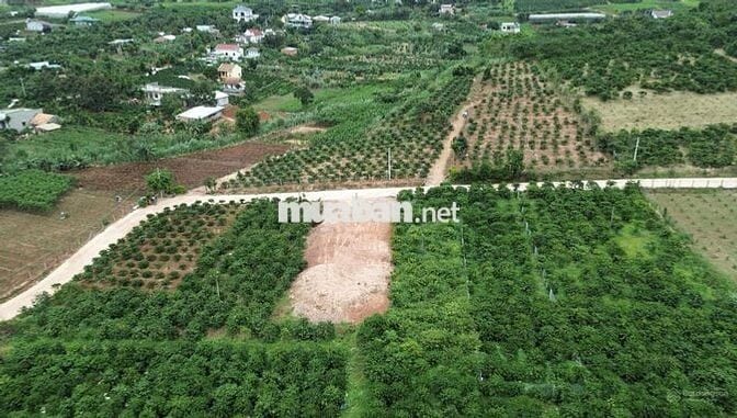 LÔ ĐẤT ĐẸP GẦN HT VILLA 86, NAM BAN LÂM HÀ