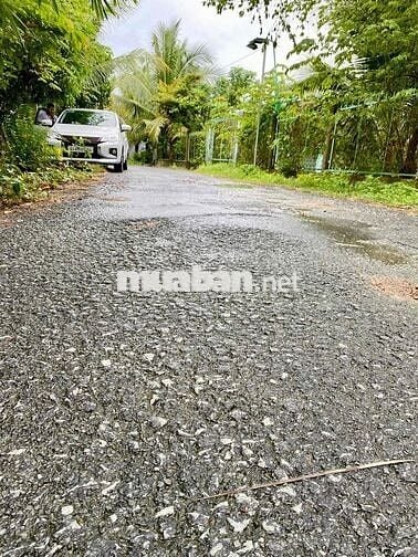 Đất Nền Thổ Cư 100% Lộ Nhựa Giá Rẻ