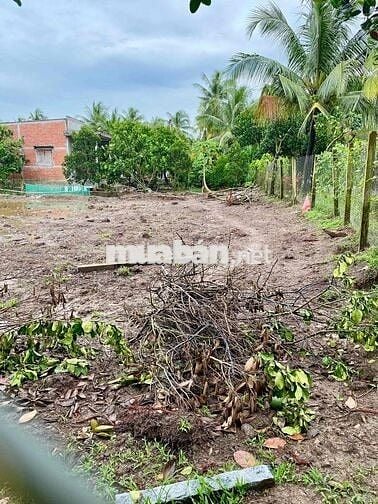 Đất Nền Thổ Cư 100% Lộ Nhựa Giá Rẻ