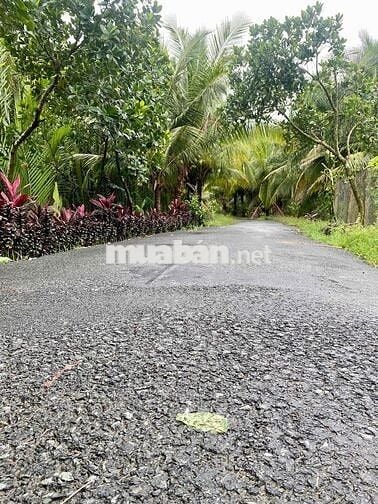 Đất Nền Thổ Cư 100% Lộ Nhựa Giá Rẻ