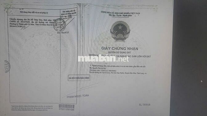 Ấp Sò Đo, Thị Trấn Hậu Nghĩa, Đức Hòa, Long An Giá: 2ty4 triệu bớt lộc