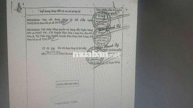 Ấp Sò Đo, Thị Trấn Hậu Nghĩa, Đức Hòa, Long An Giá: 2ty4 triệu bớt lộc