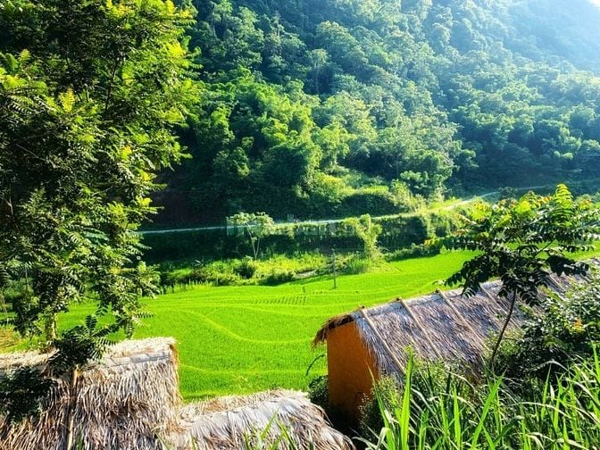 Chính Chủ Bán Khu Eco Lodge Pù Luông - View Suối, Full Nội Thất