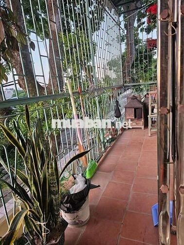 Siêu hiếm! Tập thể Ngọc Lâm 100m² – Ô tô đỗ cửa – Chỉ hơn 3 tỷ