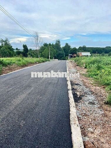 Kẹt tiền chủ gửi bán 1 cặp thổ cư liền kề đất ở tp HCM