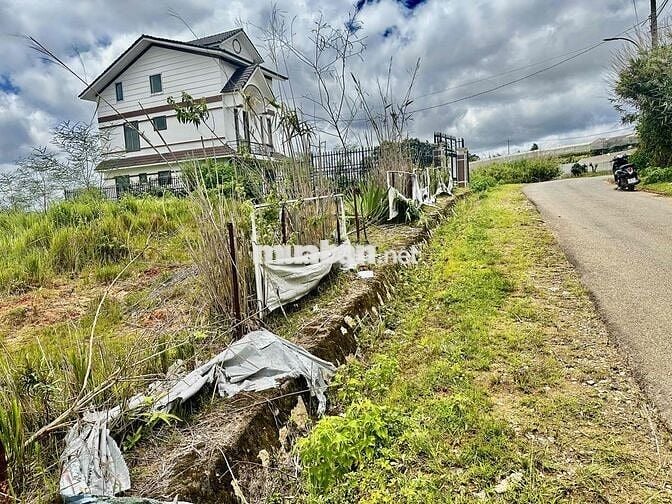 Sở hữu nhanh tay lô đất mặt tiền đường 14/3 phường Langbiang - Đà Lạt