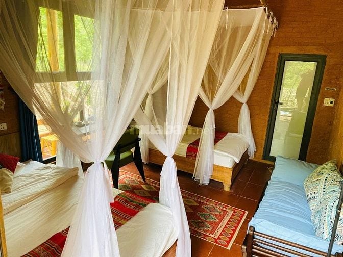 Chính Chủ Bán Khu Eco Lodge Pù Luông - View Suối, Full Nội Thất