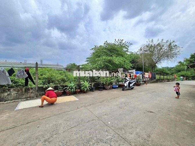 BÁN ĐẤT (5x20) BÌNH NHÂM ĐƯỜNG BÊ TÔNG 6m