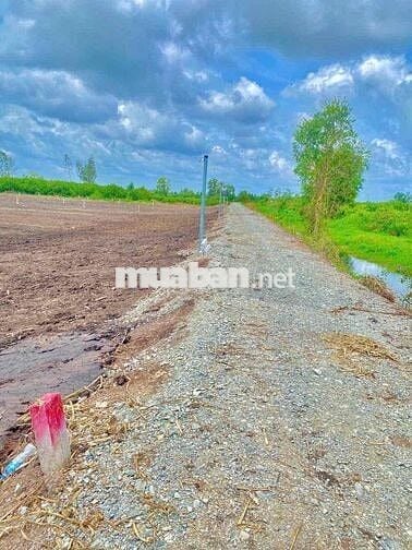 Đất cho anh chị em cất nhà vườn