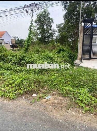Đất mặt tiền xe container thổ vườn dt990m giá 5tỷ7.lương hòa bến lức.