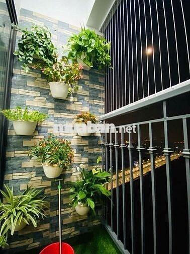Cho thuê căn hộ Hateco Apollo, 9.5 triệu, 58,6m2, 2PN, 1WC