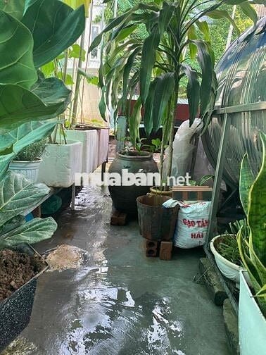 Bán nhanh cc căn số 304 nhà A phố Kim Ngưu sổ to oto đỗ cầu thang
