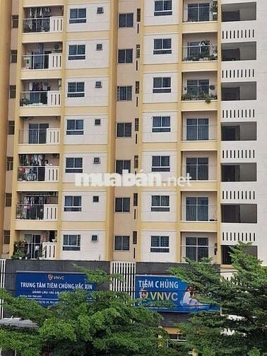 Cho thuê căn góc chung cư tiêm chủng VNvc